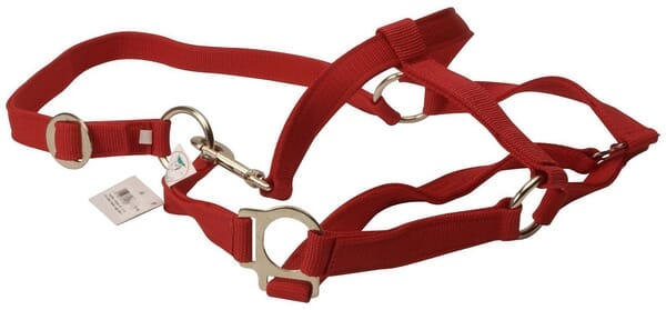 Horse, OUTLET - Nylon Headcollar Classic Red,4, Unbranded 2
