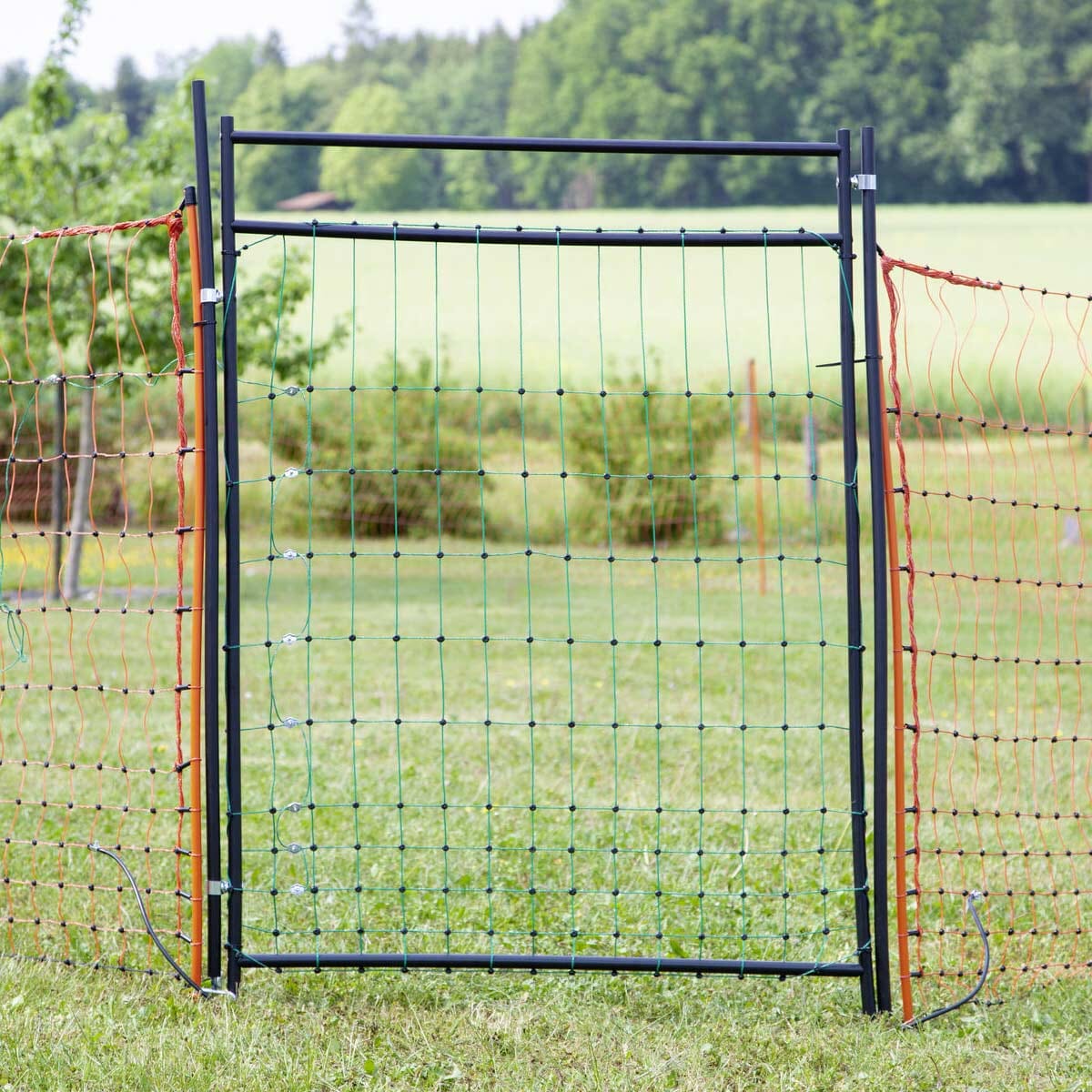 Filet pour poules Agrarzone Classic électrifié, double pointe, vert 15 m x  106 cm